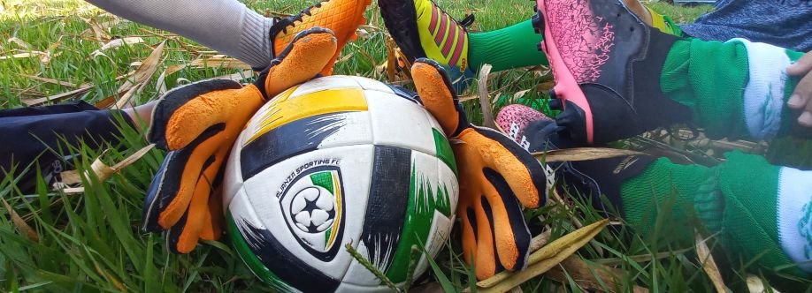 Ramiro Rios Cover Image